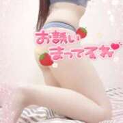 ヒメ日記 2026/02/12 14:30 投稿 ちい 奥様なでしこ