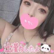 ヒメ日記 2026/02/14 12:06 投稿 ちい 奥様なでしこ