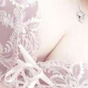 ヒメ日記 2026/02/14 14:04 投稿 ちい 奥様なでしこ