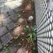 ヒメ日記 2025/05/10 22:01 投稿 河西ゆり 大人めシンデレラ 新横浜店（シンデレラグループ）