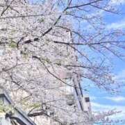 ヒメ日記 2025/04/26 20:44 投稿 ゆうか デザインプリズム新宿