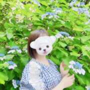 ヒメ日記 2025/07/01 20:29 投稿 ゆうか デザインプリズム新宿