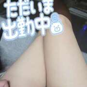 ヒメ日記 2025/12/10 10:46 投稿 ましろ 埼玉西川口ショートケーキ（シンデレラグループ）