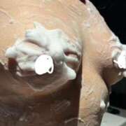 ヒメ日記 2025/11/24 14:23 投稿 仲間 鶯谷人妻城