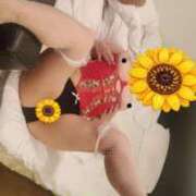 ヒメ日記 2026/08/11 09:09 投稿 仲間 鶯谷人妻城