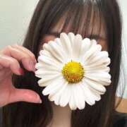 ヒメ日記 2025/03/25 12:15 投稿 今野　なごみ 癒し娘診療所 水戸・ひたちなか店