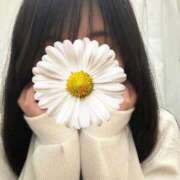 ヒメ日記 2025/04/03 20:04 投稿 今野　なごみ 癒し娘診療所 水戸・ひたちなか店