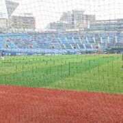 ヒメ日記 2025/06/06 15:44 投稿 佐倉みずほ ニューハーフヘルス シーメールレジェンド 横浜店