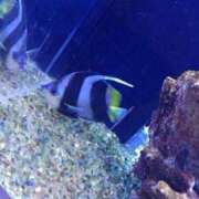 ヒメ日記 2025/08/11 18:10 投稿 佐倉みずほ ニューハーフヘルス シーメールレジェンド 横浜店