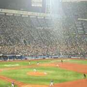 ヒメ日記 2026/05/14 22:10 投稿 佐倉みずほ ニューハーフヘルス シーメールレジェンド 横浜店