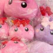 ヒメ日記 2026/02/11 15:03 投稿 のあ 体感サロン マチルダとベロニカ