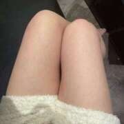 ヒメ日記 2025/04/04 12:14 投稿 れむ ベイビーモコ