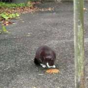 ヒメ日記 2025/07/11 10:48 投稿 チーズ♡ Q-STORY