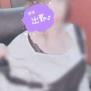 ヒメ日記 2025/04/06 10:55 投稿 下平れいか（しもひられいか） 桃色奥様(佐賀)