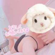 ヒメ日記 2025/05/01 11:05 投稿 下平れいか（しもひられいか） 桃色奥様(佐賀)