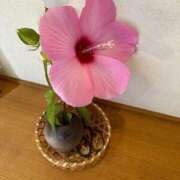 ヒメ日記 2025/06/17 10:42 投稿 かんな マリン千葉店