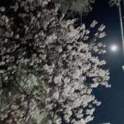 ヒメ日記 2025/03/14 09:17 投稿 藤 熟女の風俗最終章 新横浜店