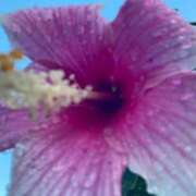 ヒメ日記 2025/03/17 10:11 投稿 藤 熟女の風俗最終章 新横浜店