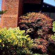 ヒメ日記 2025/03/17 11:16 投稿 藤 熟女の風俗最終章 新横浜店