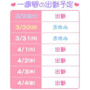 ヒメ日記 2025/03/29 15:29 投稿 もも ハピネス札幌