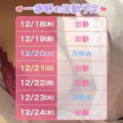 ヒメ日記 2025/12/18 11:43 投稿 もも ハピネス札幌