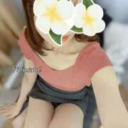 ヒメ日記 2025/04/24 11:44 投稿 みなみ 手コキ研究会