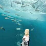 ヒメ日記 2025/11/21 20:55 投稿 あづちゃぴ ドM女学園大阪