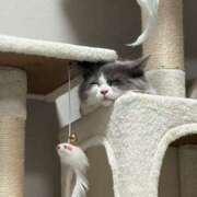 ヒメ日記 2026/03/14 17:42 投稿 あづちゃぴ ドM女学園大阪