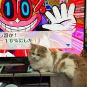 ヒメ日記 2026/03/15 10:48 投稿 あづちゃぴ ドM女学園大阪