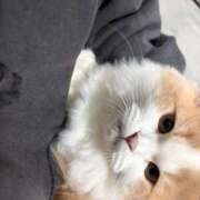 ヒメ日記 2026/03/23 12:13 投稿 あづちゃぴ ドM女学園大阪