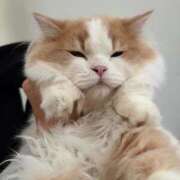 ヒメ日記 2026/03/27 14:50 投稿 あづちゃぴ ドM女学園大阪