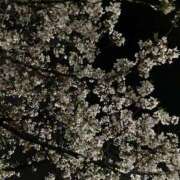 ヒメ日記 2025/06/05 06:42 投稿 みなみ 密着指導！バカンス学園 尼崎校