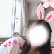 ヒメ日記 2025/04/02 15:53 投稿 りょう姫 螢