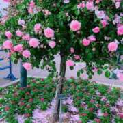 ヒメ日記 2025/05/15 19:49 投稿 りょう姫 螢