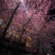 ヒメ日記 2025/03/14 04:03 投稿 ひなの★橋本環奈似のS級美少女 Chloe鶯谷・上野店 S級素人清楚系デリヘル