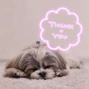 ヒメ日記 2025/04/18 02:55 投稿 みさき デリトップ