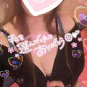 ヒメ日記 2025/04/20 13:24 投稿 忍（しのぶ） ビッグバード