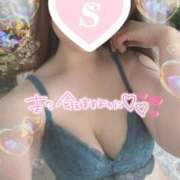 ヒメ日記 2025/04/21 16:04 投稿 忍（しのぶ） ビッグバード