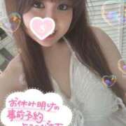 ヒメ日記 2025/04/25 13:44 投稿 忍（しのぶ） ビッグバード