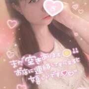 ヒメ日記 2025/06/14 15:04 投稿 忍（しのぶ） ビッグバード