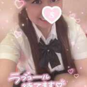 ヒメ日記 2025/07/19 07:24 投稿 忍（しのぶ） ビッグバード