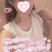 ヒメ日記 2025/07/26 07:14 投稿 忍（しのぶ） ビッグバード