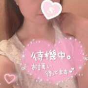 ヒメ日記 2025/08/17 12:24 投稿 忍（しのぶ） ビッグバード