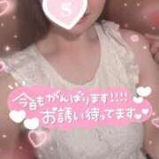 ヒメ日記 2025/08/31 08:06 投稿 忍（しのぶ） ビッグバード