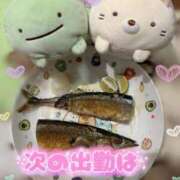 ヒメ日記 2025/09/10 14:04 投稿 忍（しのぶ） ビッグバード