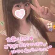 ヒメ日記 2025/09/28 08:34 投稿 忍（しのぶ） ビッグバード