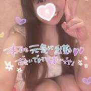 ヒメ日記 2025/10/19 10:04 投稿 忍（しのぶ） ビッグバード