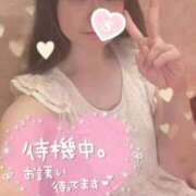 ヒメ日記 2025/10/19 12:55 投稿 忍（しのぶ） ビッグバード