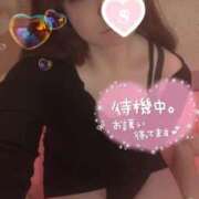 ヒメ日記 2025/10/30 14:54 投稿 忍（しのぶ） ビッグバード