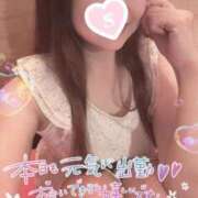 ヒメ日記 2025/11/01 08:12 投稿 忍（しのぶ） ビッグバード